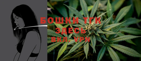 индика Беломорск
