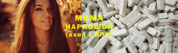 индика Беломорск