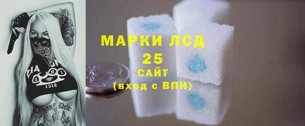 индика Беломорск