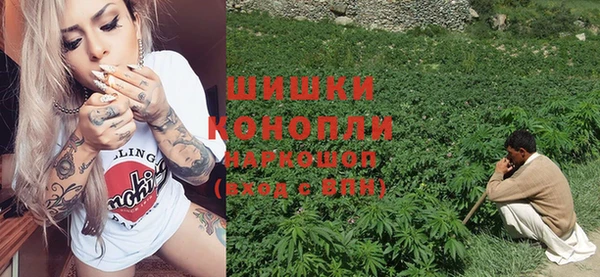 индика Беломорск