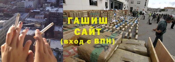 индика Беломорск