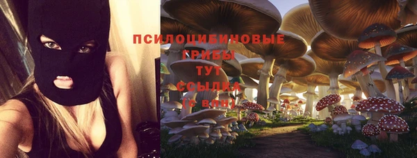 индика Беломорск
