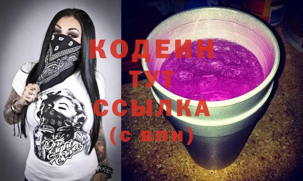 индика Беломорск