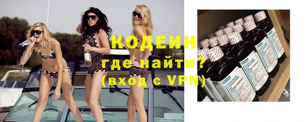 индика Беломорск